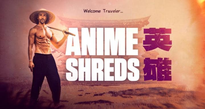 ANIME SHREDS |英雄|